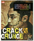 Digital Imaging Series Crack & Grunge